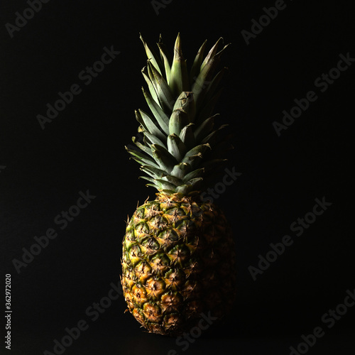 Whole fresh ripe pineapple on green background.