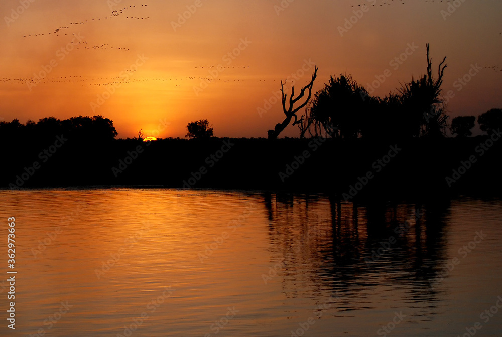 Yellow Water in Australia Kakadu National Park sunset over the river peaceful and picturesque landscape in northern territory
