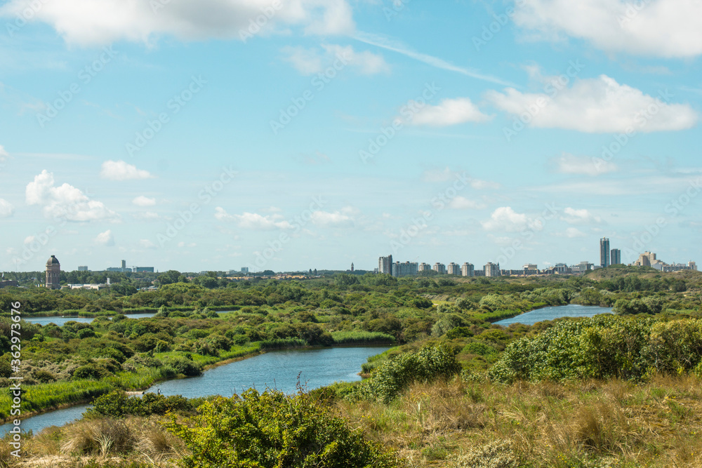 landscape with clouds and blue sky