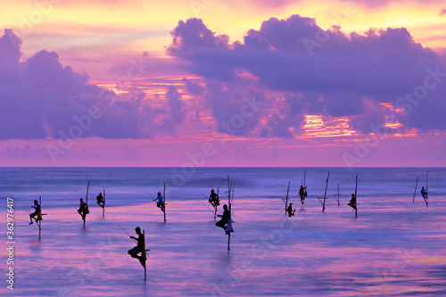 Fotografija Fishermen on stilts in silhouette at the sunset in Galle, Sri Lanka