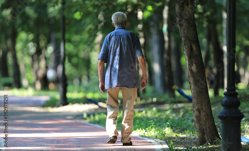 Fototapeta Naklejka Na Ścianę i Meble -  old man walking in summer park