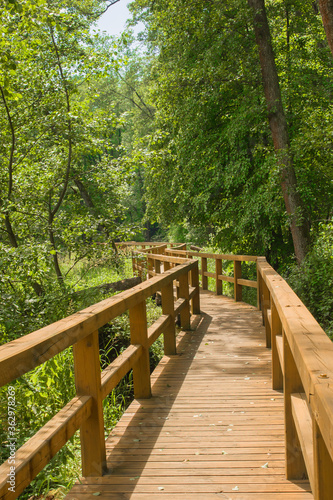 Wooden footbridge in the middle of the forest