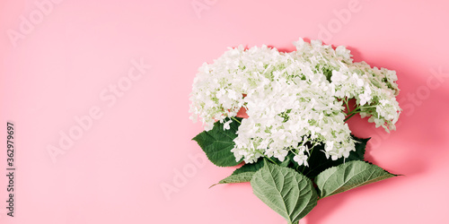 Beautiful flowers composition. White flowers on pastel pink background. Valentines Day. Happy Women s Day. Mother s day. Flat lay  top view  copy space