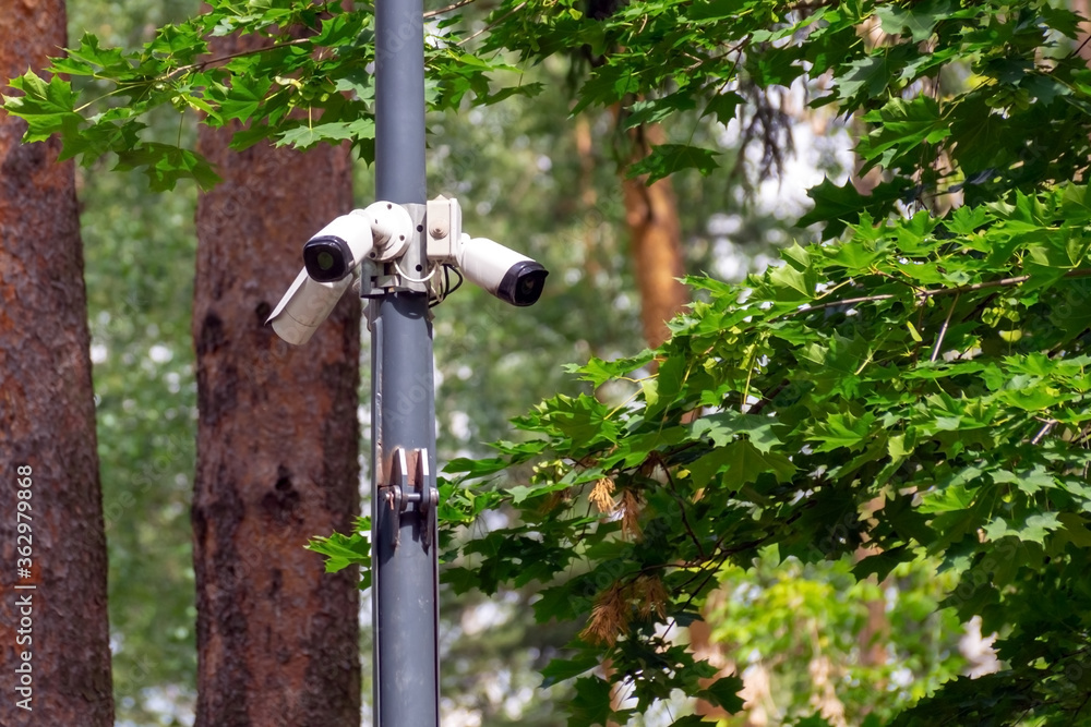Three surveillance cameras are mounted on a metal pole in the forest. Three surveillance cameras are mounted on a metal pole in the forest.