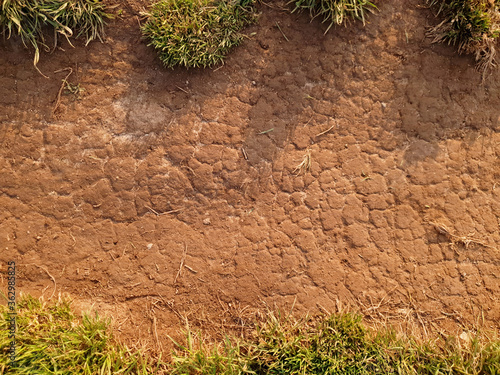 Top view of the soil path on sunny day. Background with dry cracked ground surface and grass on the top and the bottom. Texture. Backgrounds. Graphics resources.
