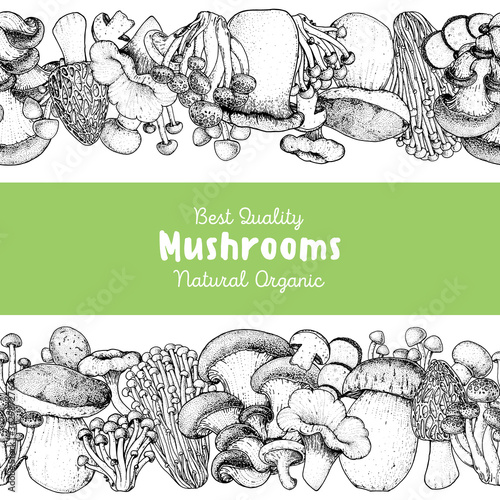 Edible mushrooms hand drawn. Horizontal Seamless pattern. Vector illustrations collection. Hand drawn food. Vintage mushrooms sketch. Organic food. Forest mushrooms. Vintage mushrooms background.