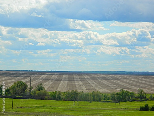 landscape