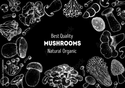 Edible mushrooms hand drawn sketch. Vector illustrations collection. Hand drawn food. Vintage mushrooms sketch. Organic food. Forest mushrooms. Vintage mushrooms background. Healthy food illustration.