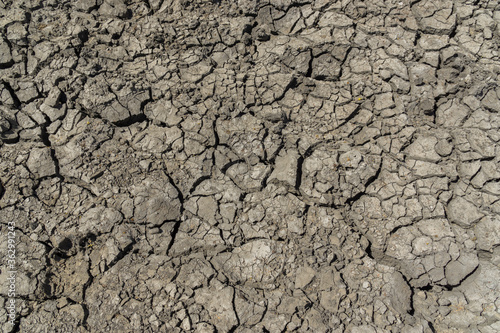 Cracked desert ground, Chad