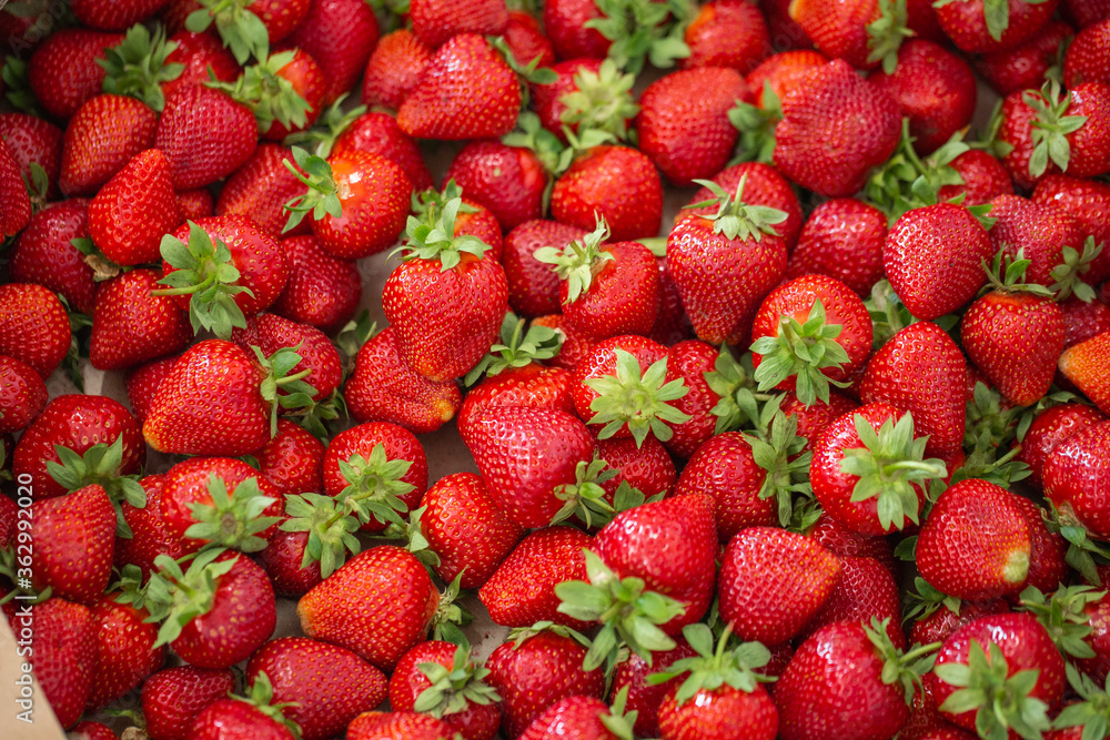 Fresh ripe perfect strawberry - Food Frame Background. Fresh strawberry as texture background. Natural food backdrop with red berries. Strawberries sale in a food market in summer. Fresh ripe perfect strawberry - Food Frame Background. Fresh strawberry as texture background. Natural food backdrop with red berries. Strawberries sale in a food market in summer.