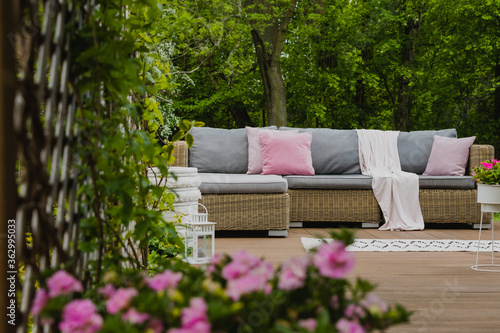 Pastel pink pillows on grey sofa in green garden with wooden terrace photo