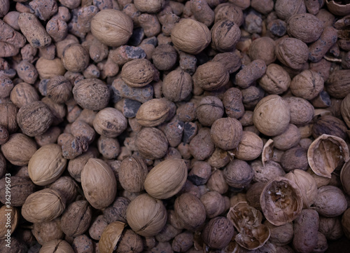 Walnut