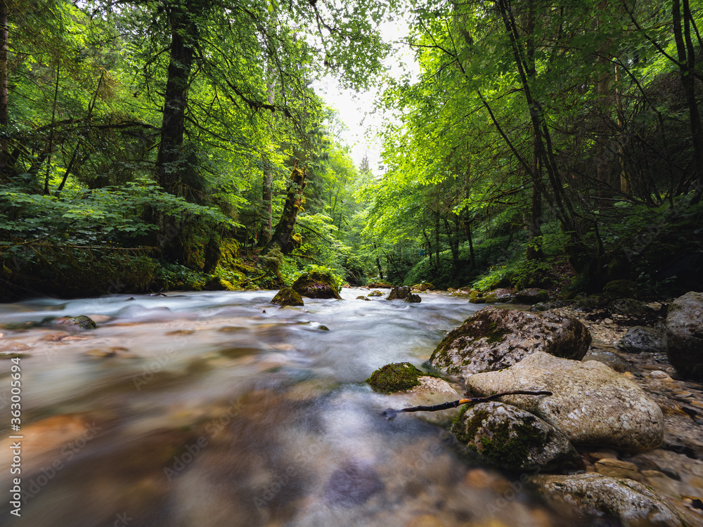 Fluss im Wald Fluss im Wald