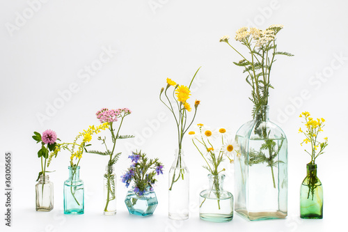 Wild field herbs in bottles of different shapes on a white-gray background as a decoration. Card