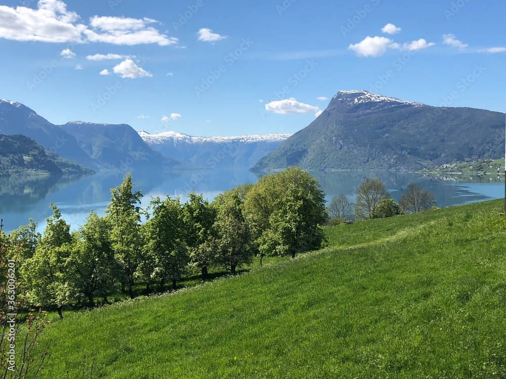 A fjord in Norway. A fjord in Norway.