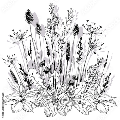 Summer floral concept with wild meadow herbs and flowers.