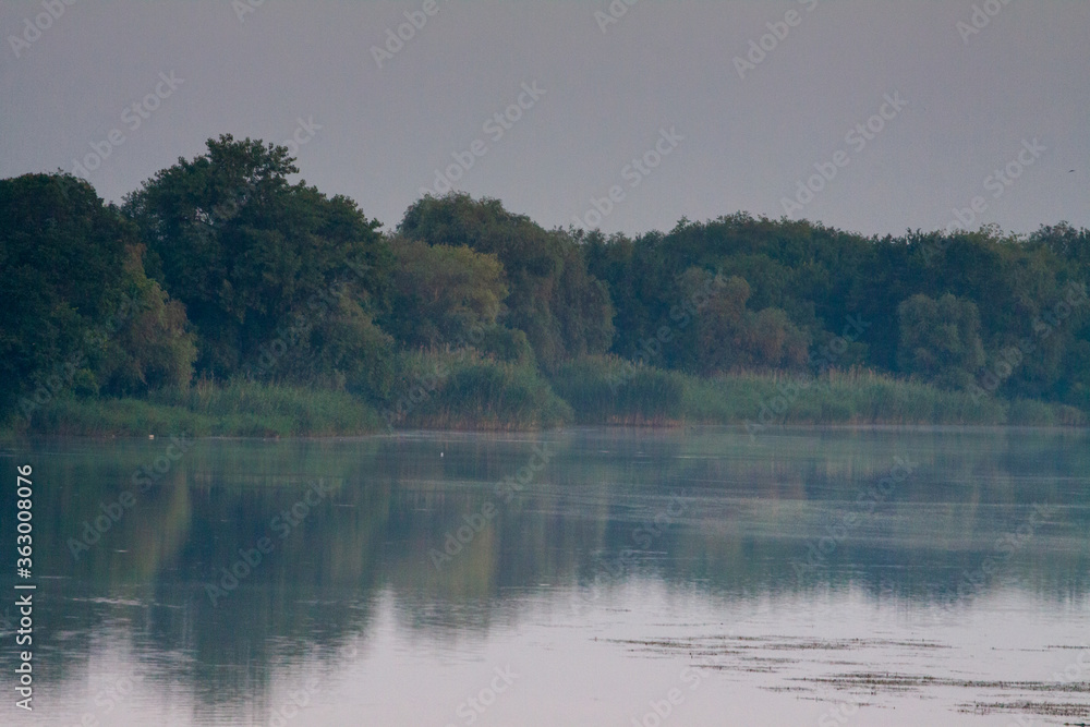 Morning on the river early morning reeds mist fog and water surface on the river