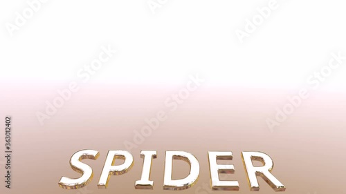spider video animation ready for your professional work projects
