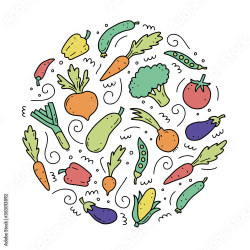 Hand drawn set of vegetable elements, carrot, salad, tomato, onion, lettuce, chili. Comic doodle sketch style. Vegetables element drawn by digital brush-pen. Vector illustration for icon, menu, frame