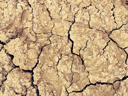 dry cracked earth