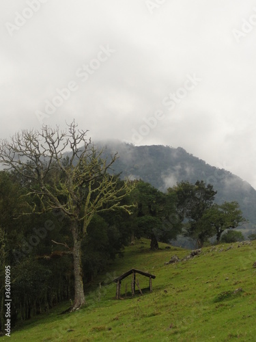 a view of the mountain