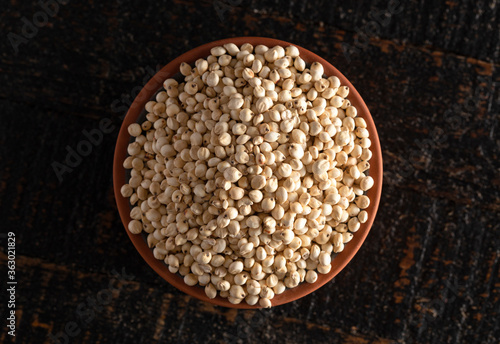 A Bowl of Sprouted Sorghum