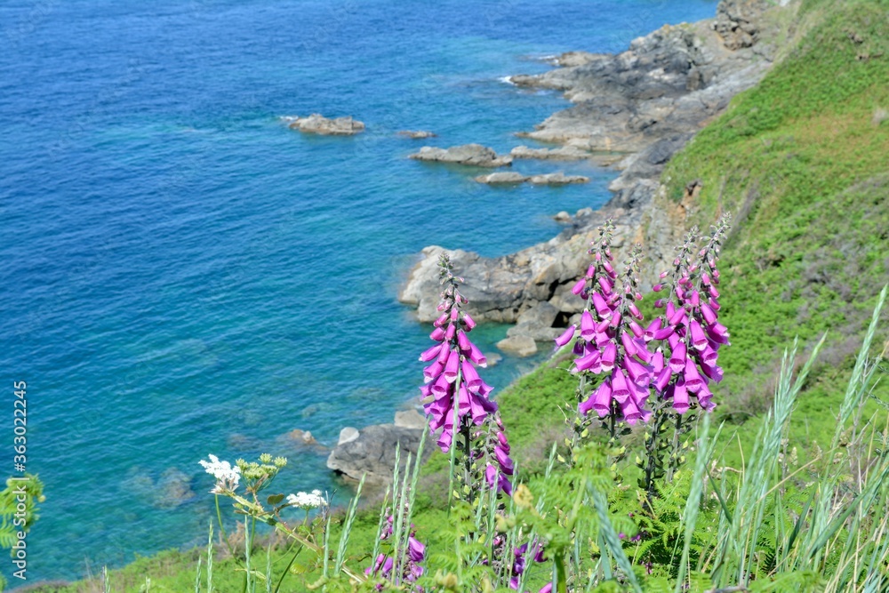 Beautiful seascape in the land of frehel in Brittany France