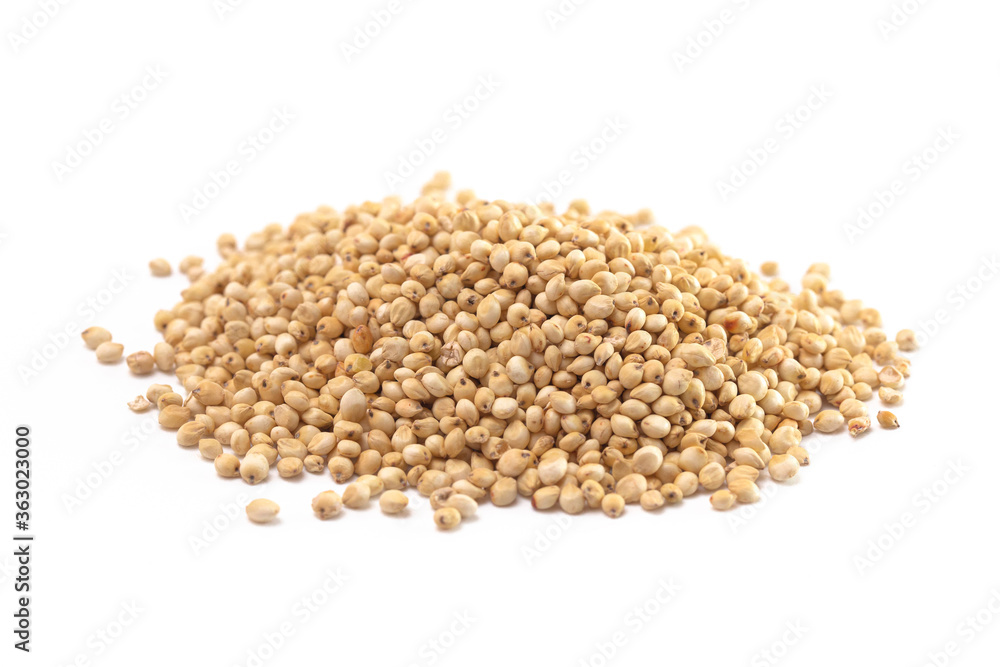 Pile of Sprouted Sorghum Isolated on a White Background Pile of Sprouted Sorghum Isolated on a White Background