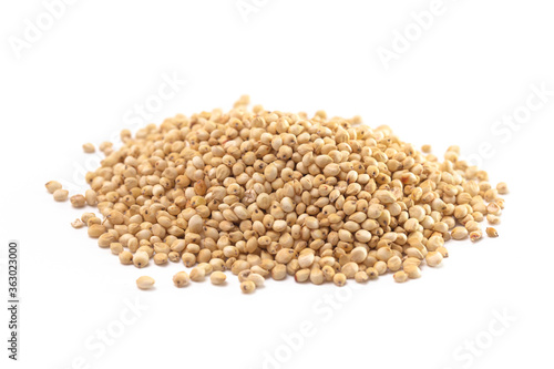 Pile of Sprouted Sorghum Isolated on a White Background