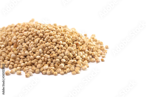 Pile of Sprouted Sorghum Isolated on a White Background