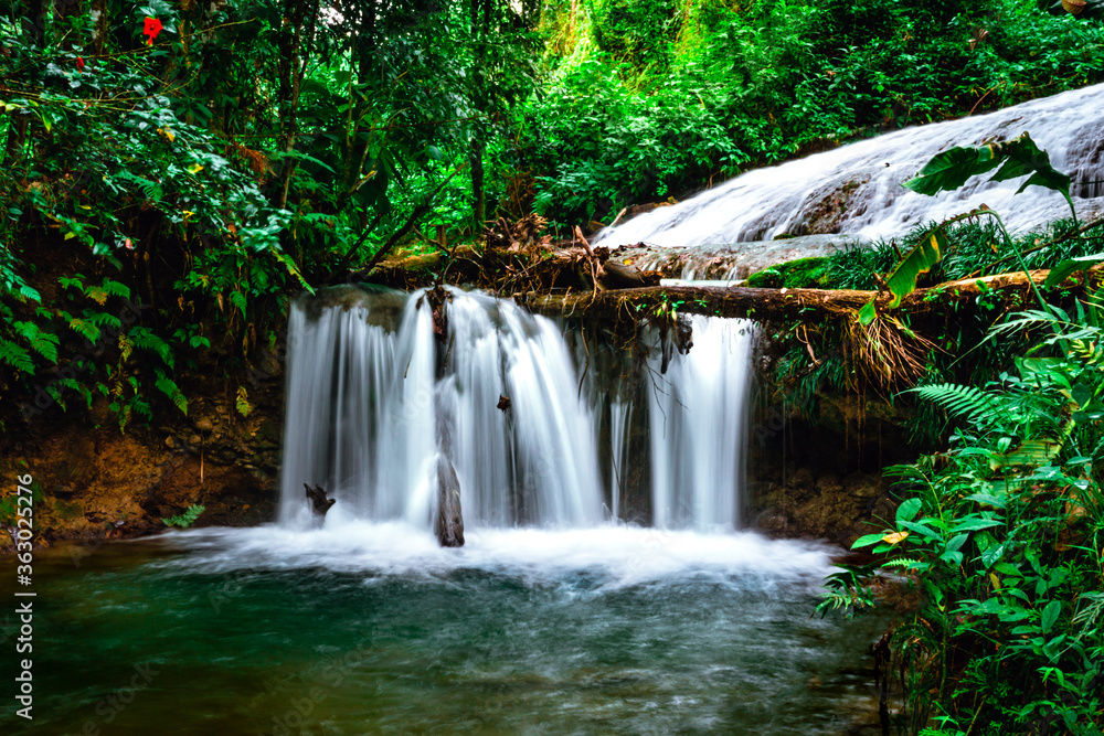 waterfall in the forest waterfall in the forest