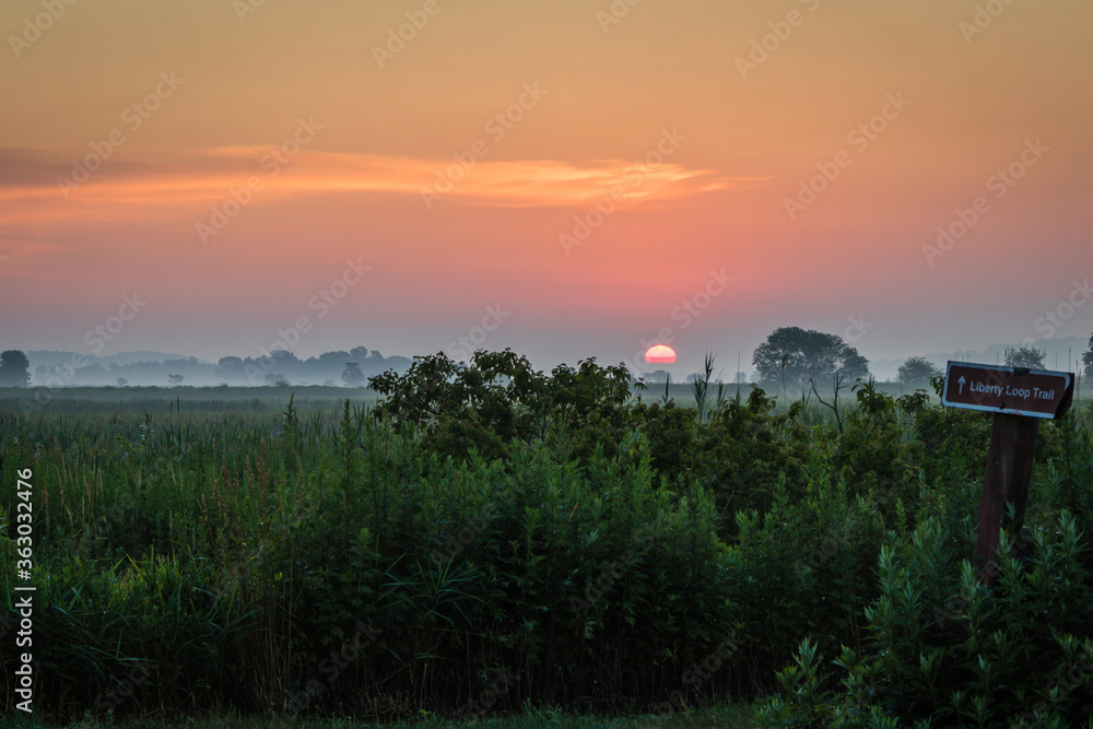 Stellar Sunrise over farm fields in the Black Dirt section of Pine Island, NY