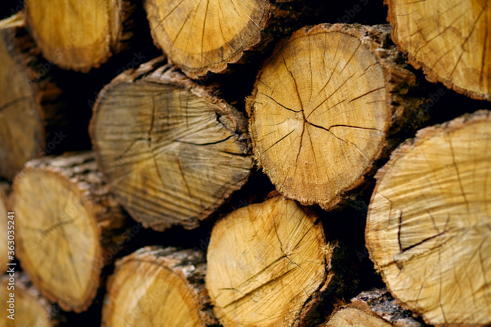 Background of round firewood stacked in a pile, harvesting of natural fuel for heating, sawmill, side view, place for text Background of round firewood stacked in a pile, harvesting of natural fuel for heating, sawmill, side view, place for text