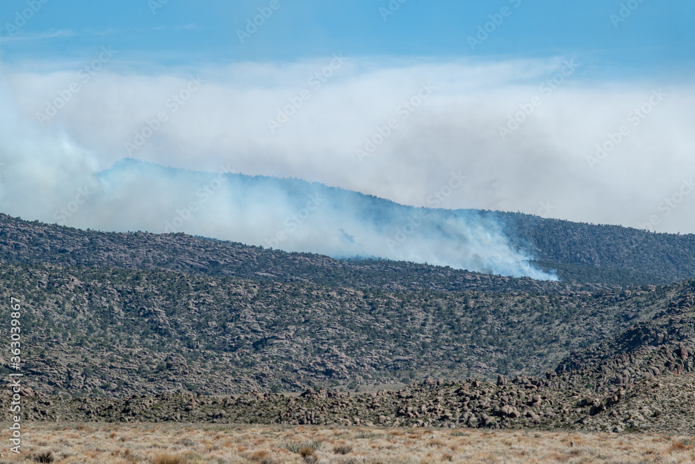 Smoke rises from a fire runner during the Twin wildfire which burned 25,000 acres in the South Pahroc Range outside Caliente, Lincoln County, Nevada, USA