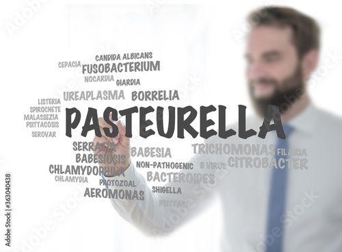 pasteurella photo