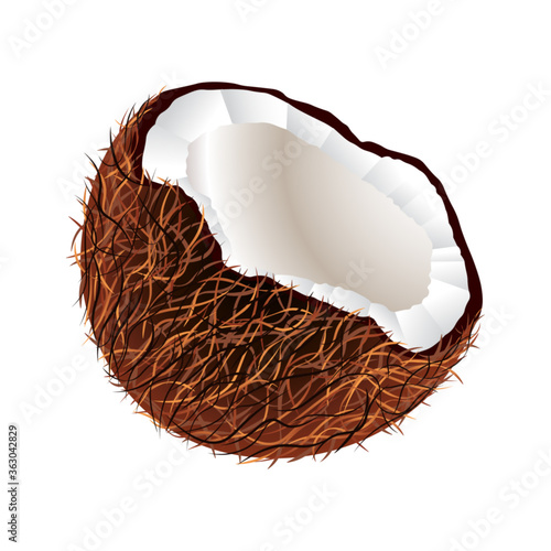 Coconut on white background, vector illustration.