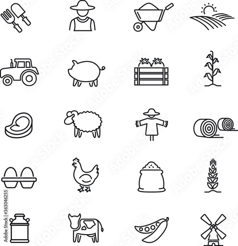 Agriculture icon thin line
