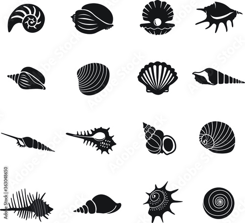 sea shell icon