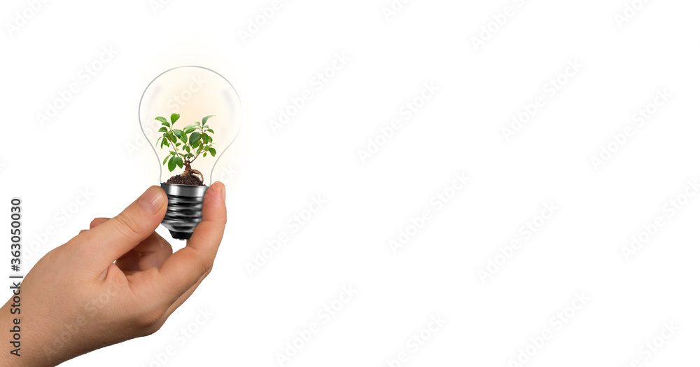 Woman hand holding green tree in light bulb. environmental protection and energy saving concept. Woman hand holding green tree in light bulb. environmental protection and energy saving concept.