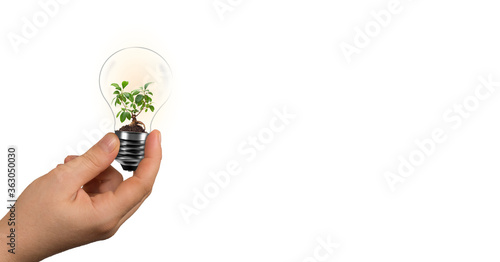 Woman hand holding green tree in light bulb. environmental protection and energy saving concept.