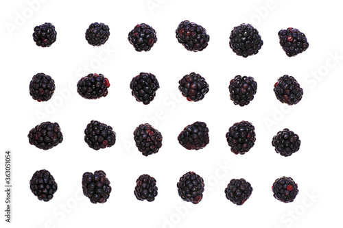 High angle view from directly above of 24 orderly arranged blackberries
