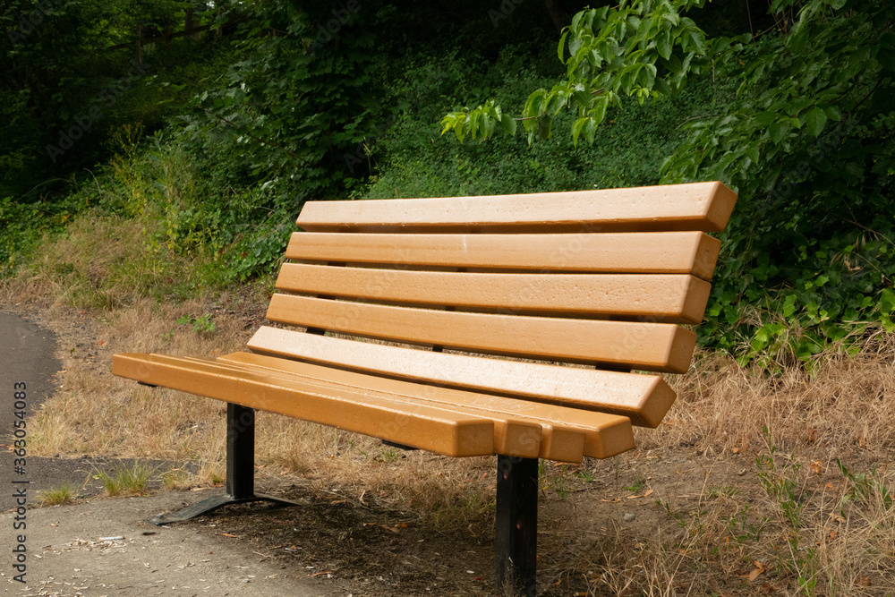 Bench along River Trail at Clackamas River, Gladstone, OR Bench along River Trail at Clackamas River, Gladstone, OR