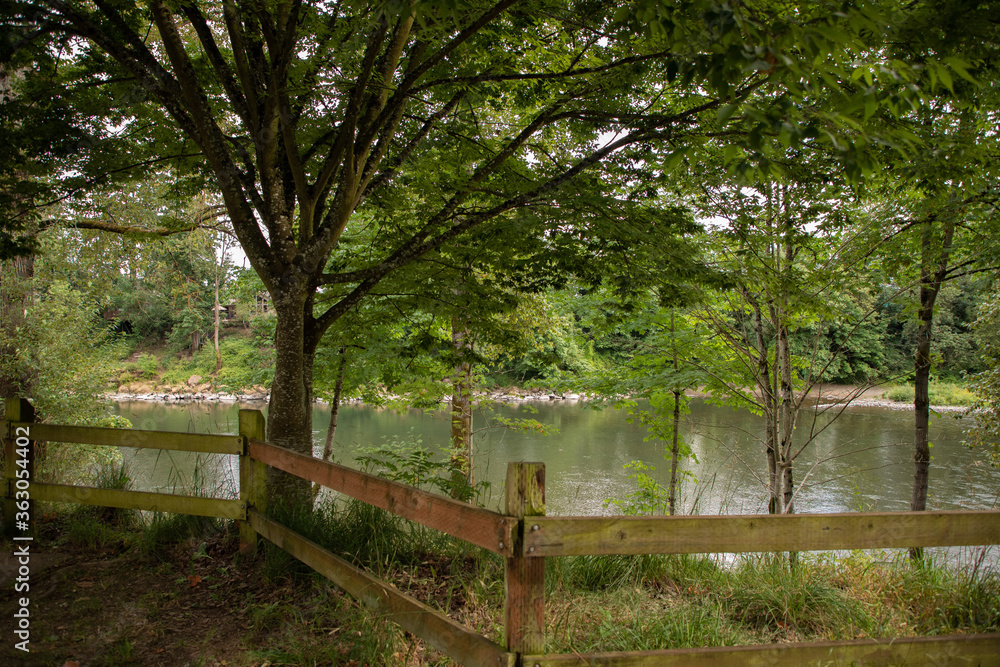 Trails Along the Clackamas River in Gladstone, OR