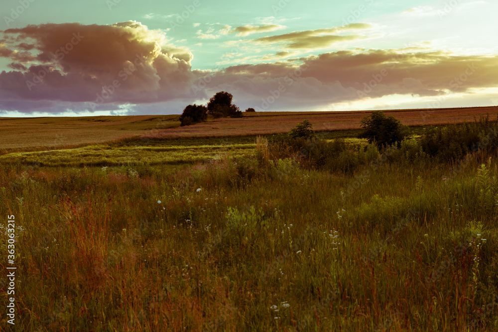 Fototapeta premium Summer landscape of meadows and fields, agricultural areas of southern Poland in Europe. fields of grain, wheat.