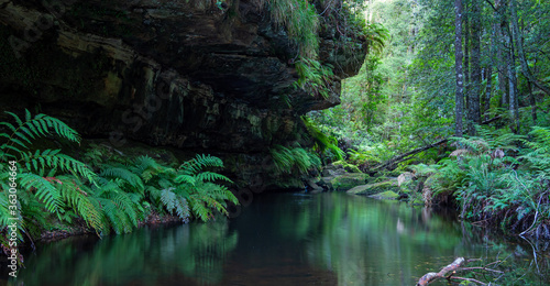 Pool with Reflections, Ferns and Rocky Overhang