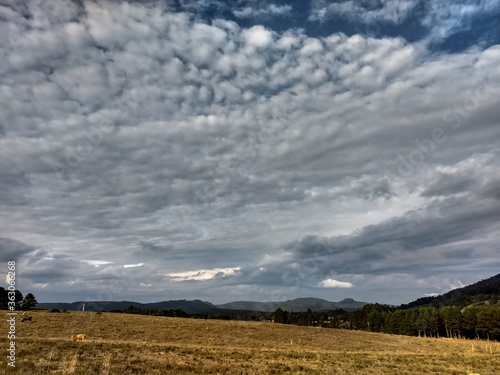 a cloud - sky - field