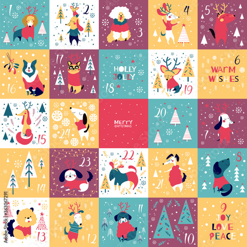 Dog Christmas Advent Calendar