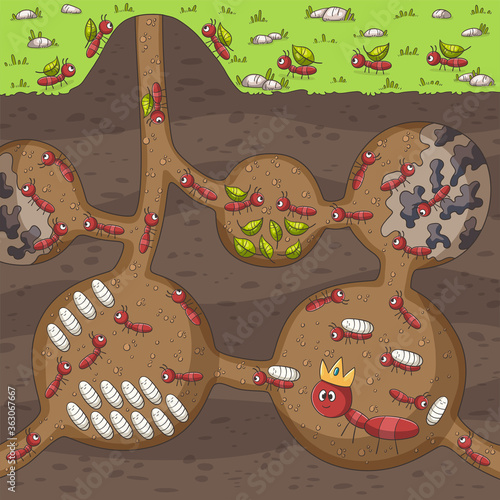 Ants in their nest. Hand drawn vector illustration with separate layers.