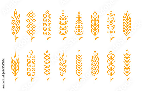 Set of wheat ears object and design elements for beer, organic local farm fresh food, bakery themed design