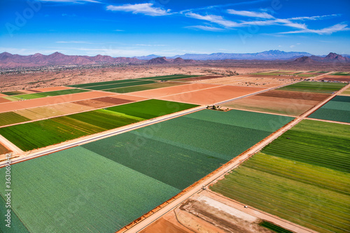 Agriculture in the East Valley